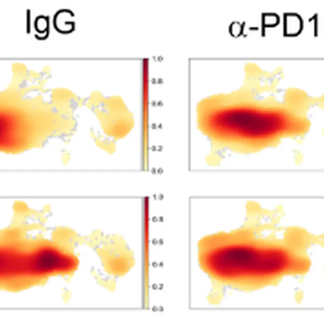 Obesity induces PD-1 on macrophages to suppress anti-tumour immunity.