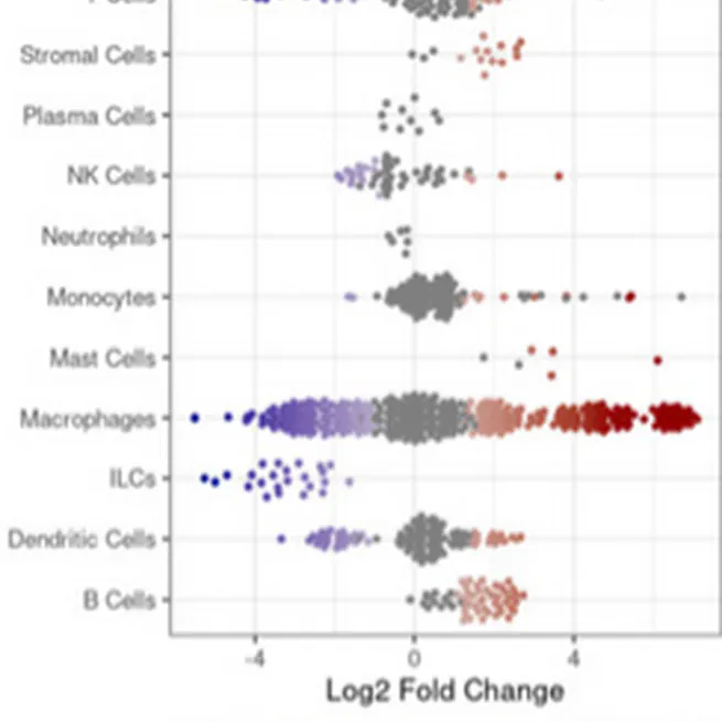 Multiomics reveals persistence of obesity-associated immune cell phenotypes in adipose tissue during weight loss and weight regain in mice