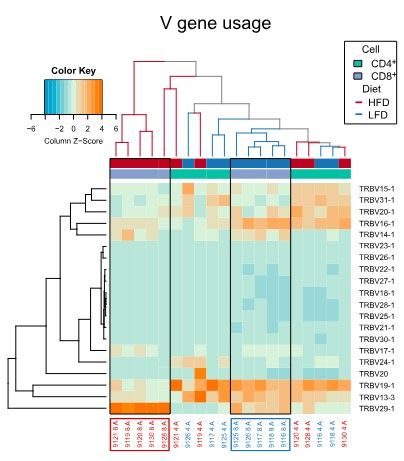 Key figure from High CD8 T‑Cell Receptor Clonality and Altered CDR3 Properties Are Associated With Elevated Isolevuglandins in Adipose Tissue During Diet‑Induced Obesity