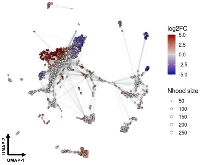 Key figure from Multiomics reveals persistence of obesity-associated immune cell phenotypes in adipose tissue during weight loss and weight regain in mice