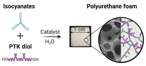 Key figure from ROS‑Degradable Polythioketal Urethane Foam Dressings to Promote Porcine Skin Wound Repair