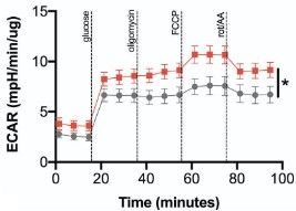 Key figure from Weight cycling induces innate immune memory in adipose tissue macrophages