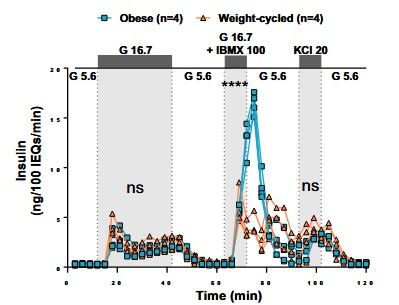 Key figure from Weight cycling impaires pancreatic insulin secretion but does not perturb whole‑body insulin action in mice with diet‑induced obesity