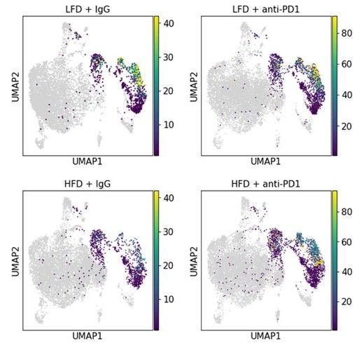 Key figure from PD‑1 is induced on tumor‑associated macrophages in obesity to directly restrain anti‑tumor immunity