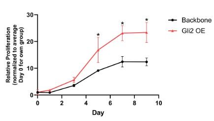 Key figure from Gli2 Overexpression Alters the Differentiation Status of Dedifferentiated Liposarcoma Cells and Results in an Immunosuppressive Myeloid Phenotype in Orthotopic Tumors 