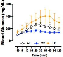 Key figure from  Calorie restriction increases insulin sensitivity to promote beta cell homeostasis and longevity in mice 