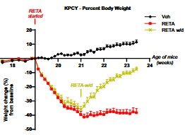 Key figure from Incretin Triple Agonist Retatrutide (LY3437943) Alleviates Obesity‑Associated Cancer Progression